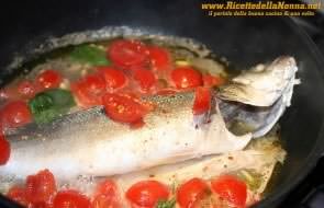 Spigola all'acqua pazza