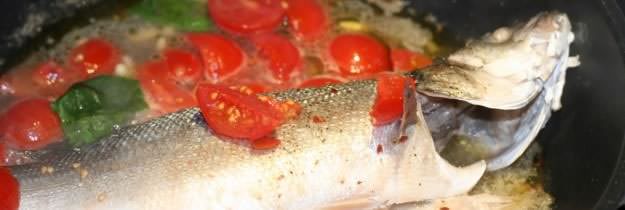 Spigola all'acqua pazza
