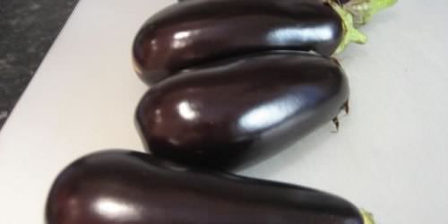 melanzane1