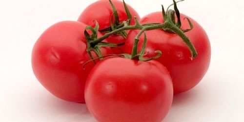 pomodoro