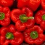 Ricetta peperoni in salsa piccante Ricetta peperoni in salsa piccante