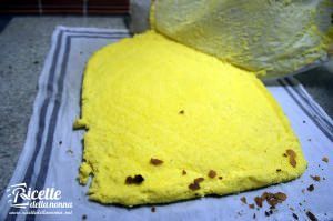 rotolo nutella pan di spagna