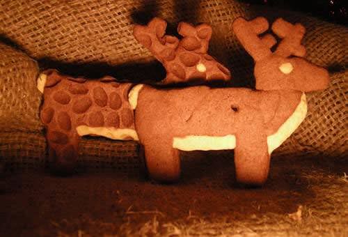 Renne biscotti di Babbo Natale