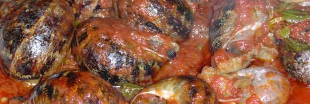 lumache_alla_romana_grande