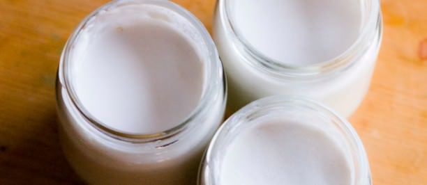 yogurt