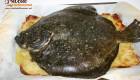 Rombo al forno con le patate