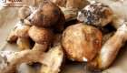 Le 10 migliori ricette con i funghi