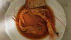 Zuppa di pomodori pachino,gallinella e scampi