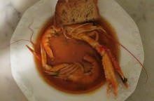 Zuppa di pomodori pachino,gallinella e scampi