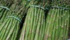 Asparagi al naturale
