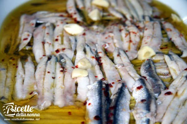 Alici marinate