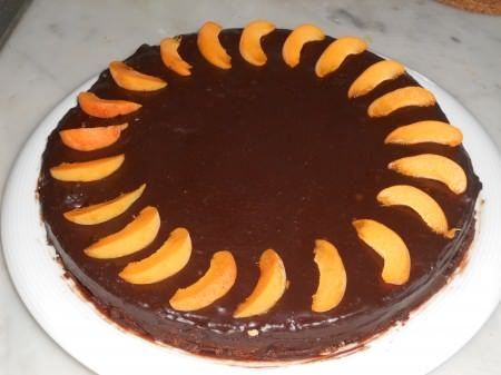 Torta di albicocche ricoperta di cioccolato ricetta e foto