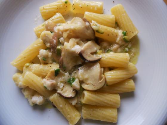 Rigatoni alla gallinella e funghi porcini ricetta e foto