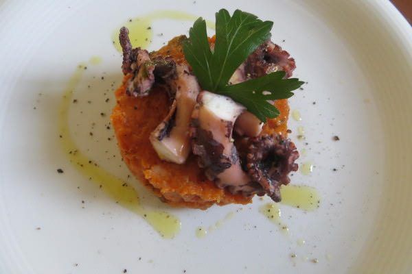 Pappa al pomodoro e polpo verace alla Vernaccia di San Gimignano