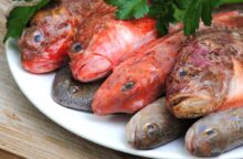 Mezze maniche integrali con la tracina