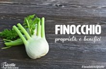 Finocchio: proprietà, benefici e controindicazioni