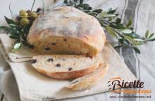 Pane naturale con olive e pomodori secchi