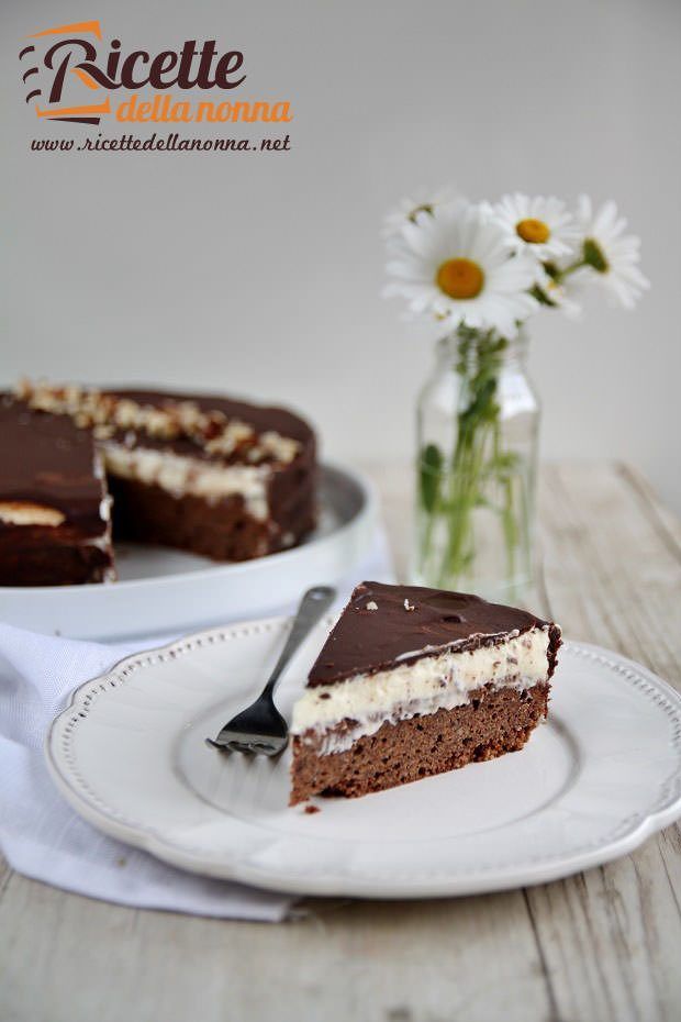 torta cioccolato e vaniglia