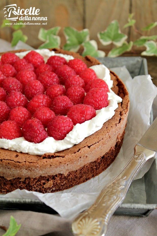 Foto torta soffice al cioccolato senza farina