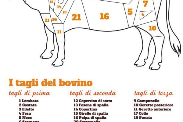 I tagli di carne bovina