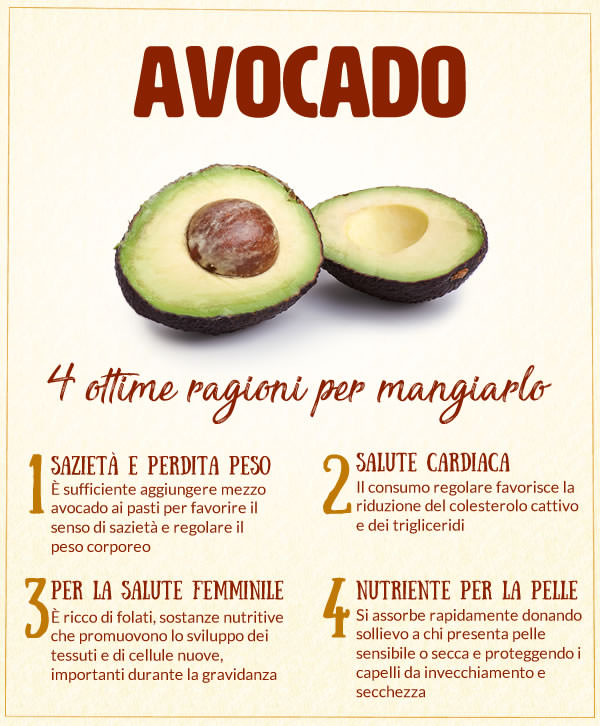 Avocado 4 ottime ragioni per mangiarlo