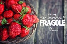 Come conservare e congelare le fragole