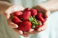 Cosa c’è dietro al colore rosso delle fragole?