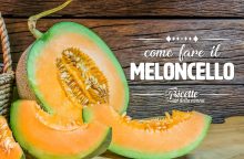 Come fare il meloncello