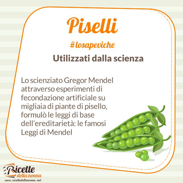 lo sapevi che - piselli