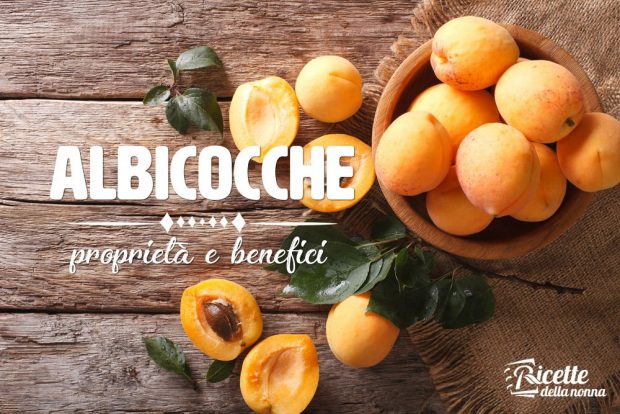 albicocca proprietà e benefici