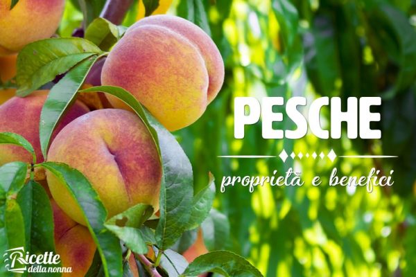 Pesche: proprietà, benefici e controindicazioni