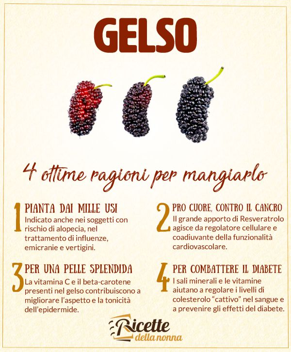 gelso 4 motivi