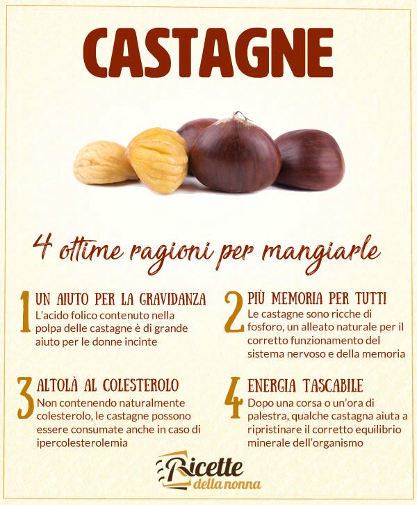 4 motivi castagne