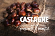 Castagne: proprietà, benefici e controindicazioni