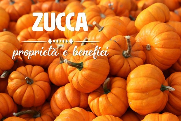 zucca proprieta e benefici