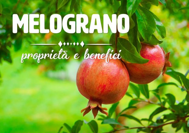 Melograno Proprietà Benefici E Controindicazioni Ricette