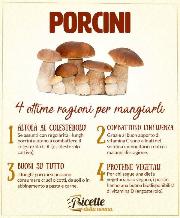 benefici funghi porcini