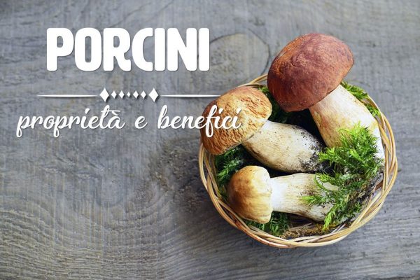 Funghi porcini: proprietà, benefici e controindicazioni