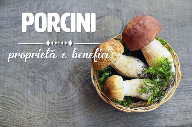 funghi porcini