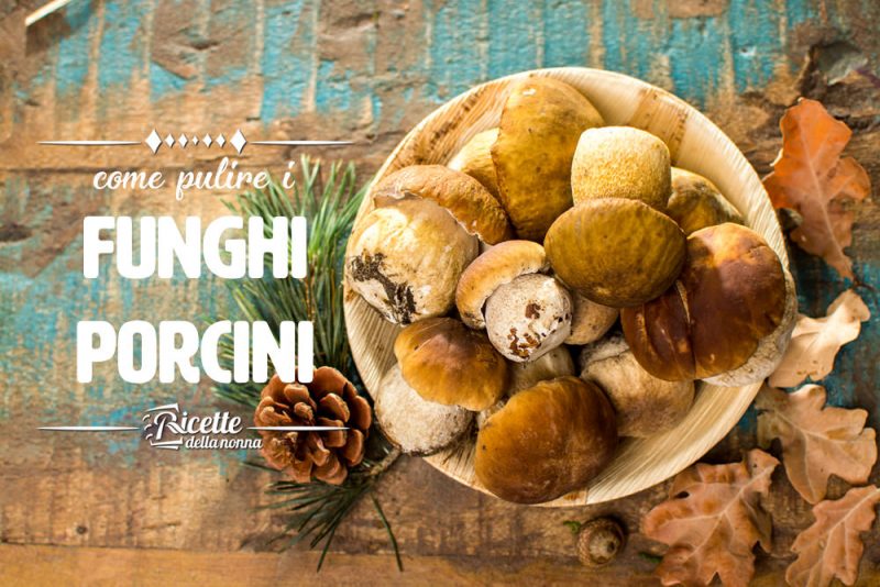 Come pulire i funghi porcini Ricette della Nonna