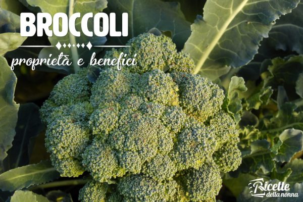 Broccoli: proprietà, benefici e controindicazioni