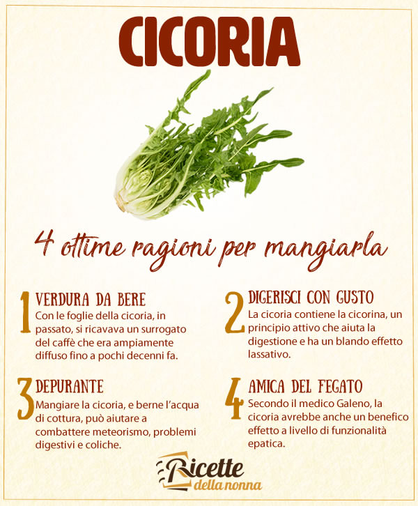 Cicoria benefici