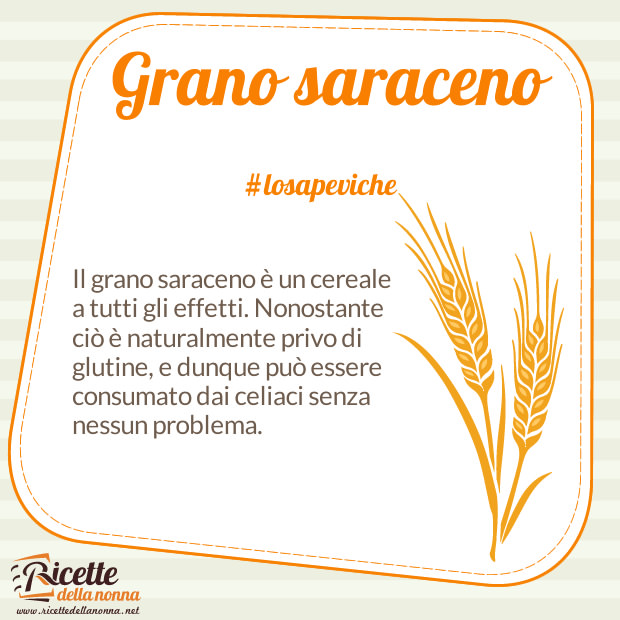 Grano saraceno curiosità