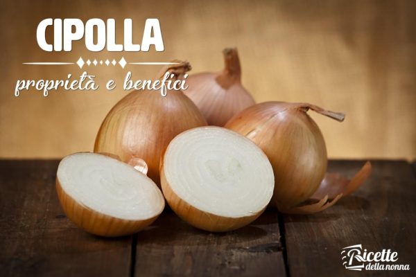 Cipolla: proprietà, benefici e controindicazioni