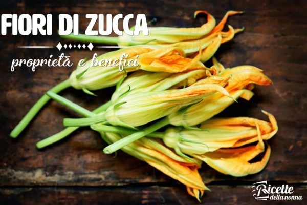 Fiori di zucca: proprietà, benefici e controindicazioni