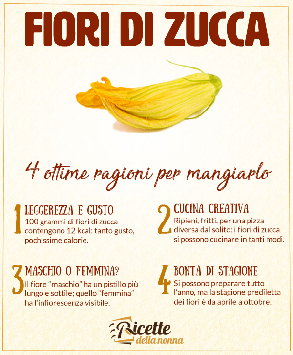 Fiori di zucca proprietà e benefici