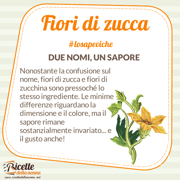 Fiori di zucca curiosità