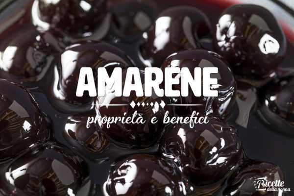Amarene: proprietà, benefici e controindicazioni