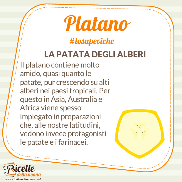 Platano curiosità