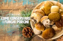 Come conservare i funghi porcini